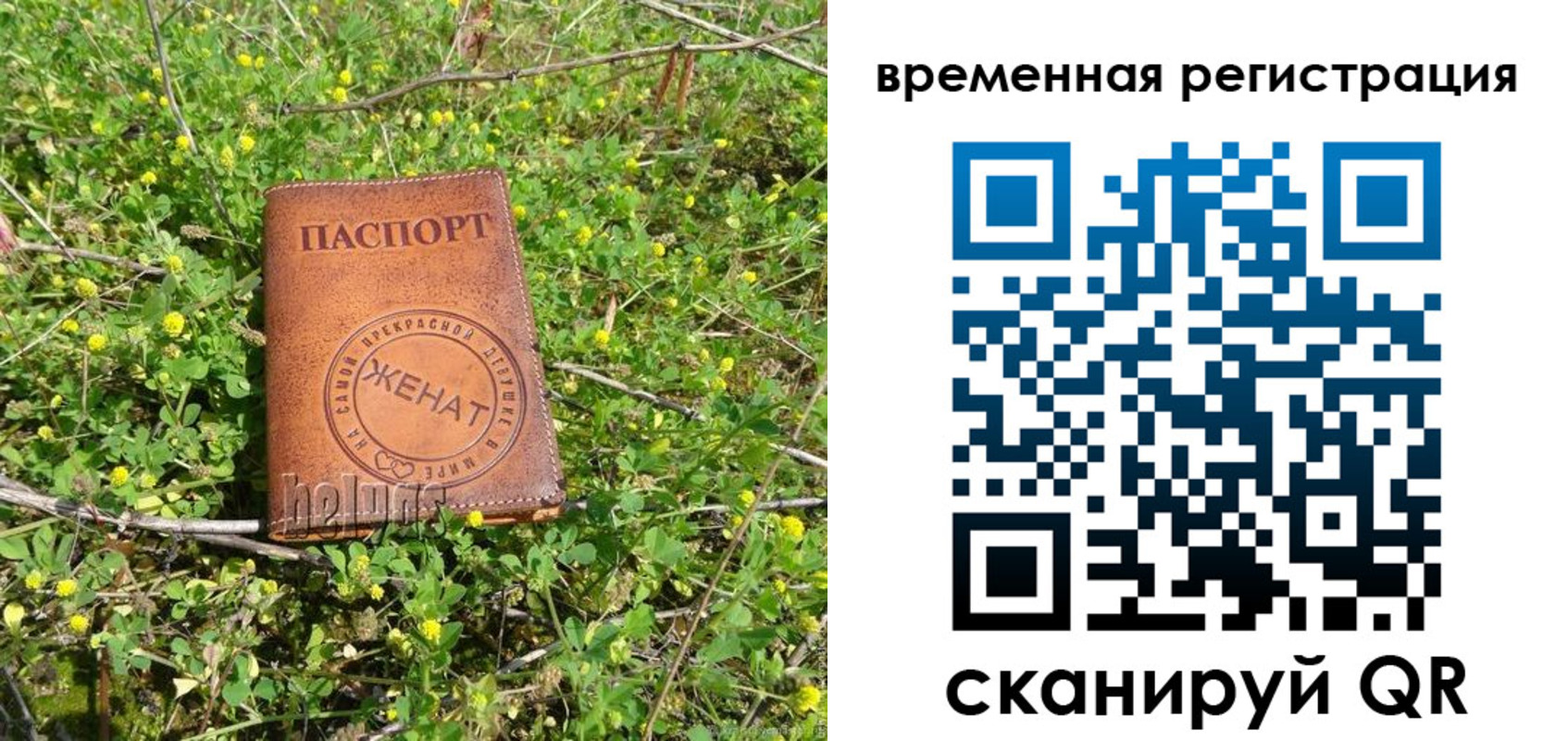 прописка регистрация в Дальнегорске